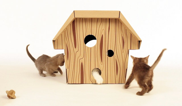 Будиночок-буда для кішки з виводком