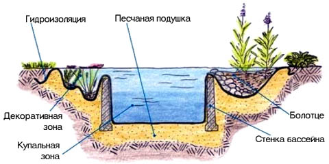 Схема декоративного ставка з купальнею